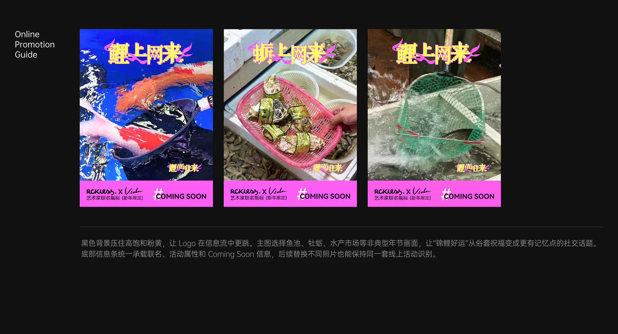 线上宣传说明与项目成果
